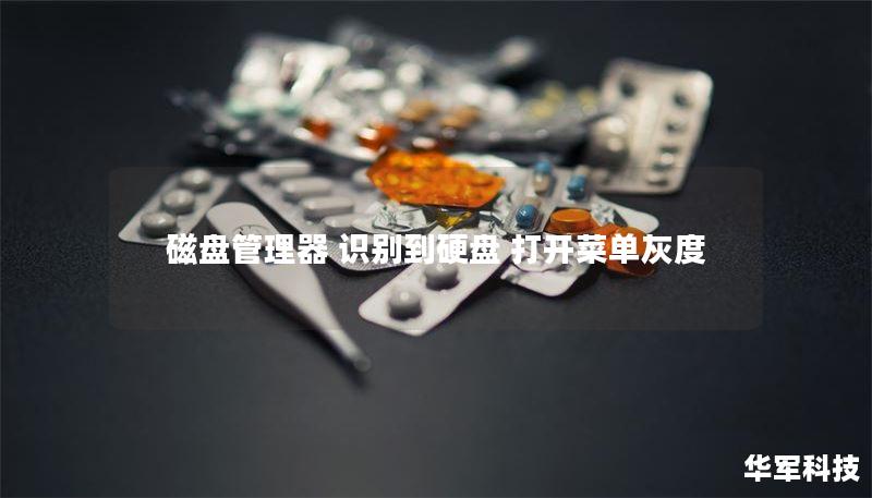 磁盤管理器 識別到硬盤 打開菜單灰度