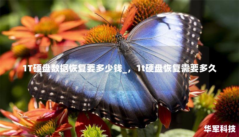 1T硬盤數(shù)據(jù)恢復(fù)要多少錢_，1t硬盤恢復(fù)需要多久