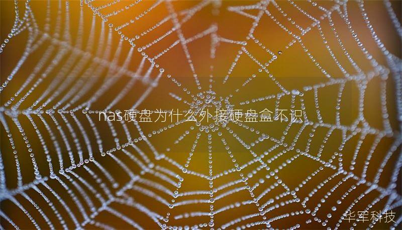 nas硬盤為什么外接硬盤盒不識