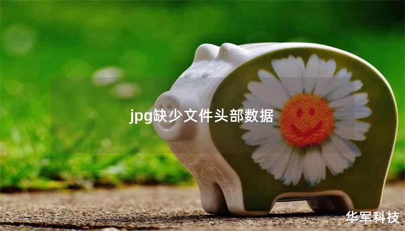 jpg缺少文件頭部數(shù)據(jù)