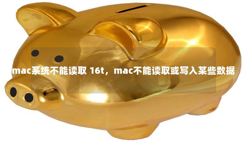mac系統(tǒng)不能讀取 16t，mac不能讀取或寫入某些數(shù)據(jù)