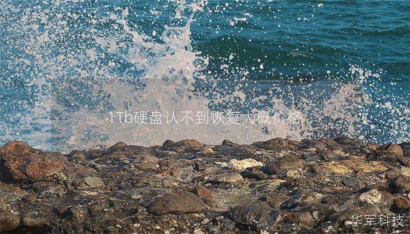 1Tb硬盤認(rèn)不到恢復(fù)大概價格