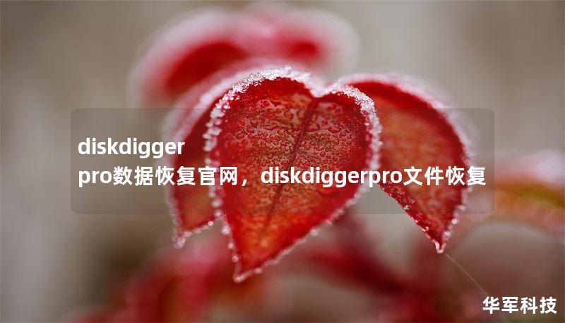 diskdigger pro數(shù)據(jù)恢復(fù)官網(wǎng)，diskdiggerpro文件恢復(fù)