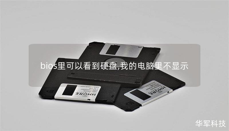 bios里可以看到硬盤,我的電腦里不顯示