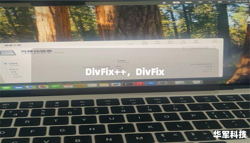 DivFix++，DivFix