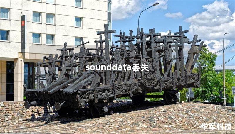 sounddata丟失