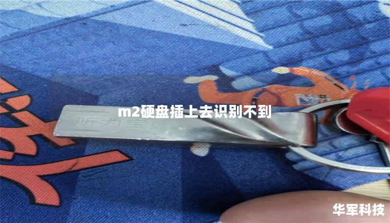 m2硬盤(pán)插上去識(shí)別不到