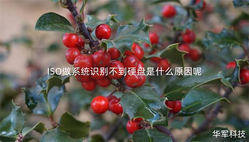 ISO做系統(tǒng)識(shí)別不到硬盤是什么原因呢