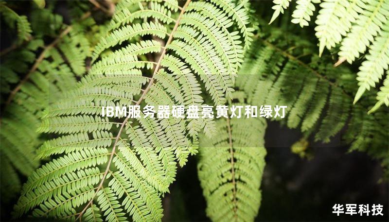 IBM服務器硬盤亮黃燈和綠燈