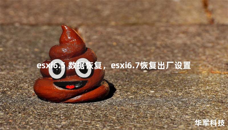 esxi6.5 數(shù)據(jù)恢復(fù)，esxi6.7恢復(fù)出廠設(shè)置