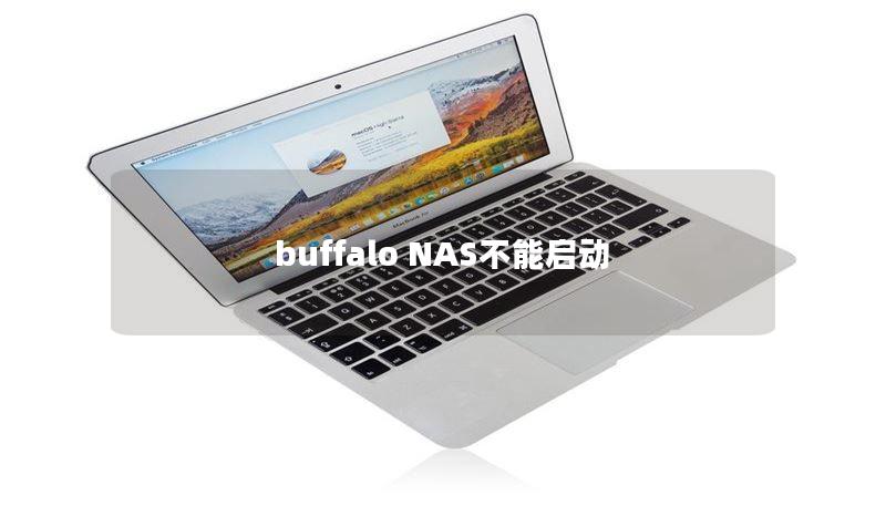 buffalo NAS不能啟動(dòng)