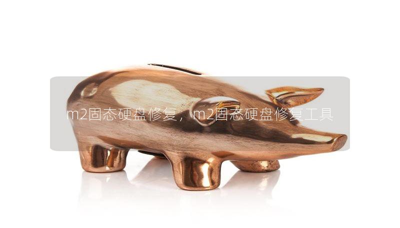 m2固態(tài)硬盤修復(fù)，m2固態(tài)硬盤修復(fù)工具