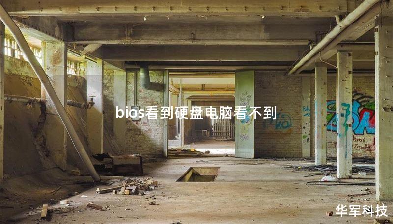 bios看到硬盤電腦看不到