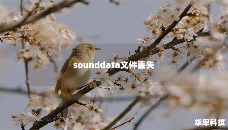 sounddata文件丟失