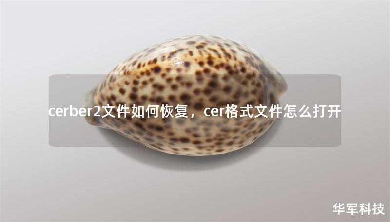 cerber2文件如何恢復(fù)，cer格式文件怎么打開