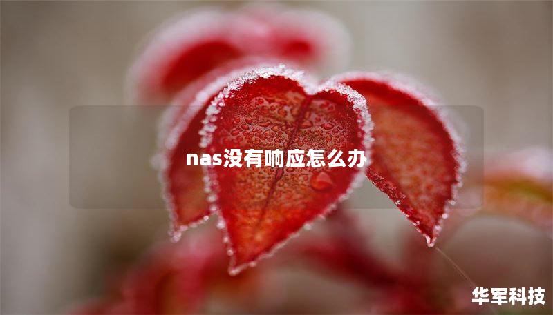 nas沒有響應(yīng)怎么辦