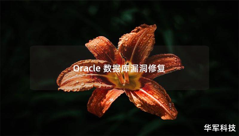 Oracle 數(shù)據(jù)庫(kù)漏洞修復(fù)