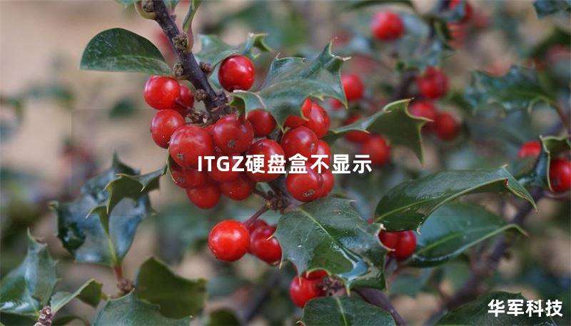 ITGZ硬盤盒不顯示