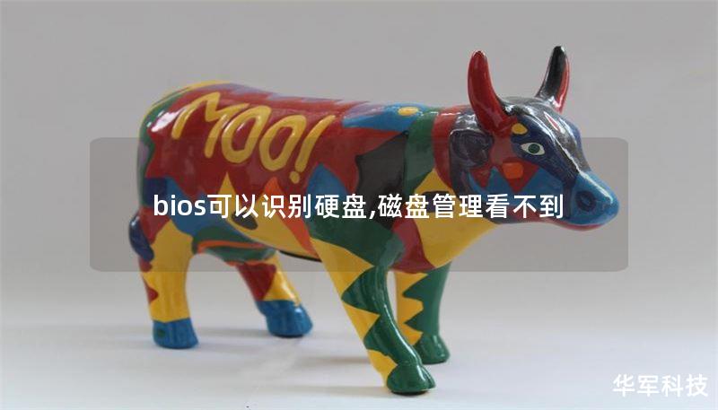 bios可以識別硬盤,磁盤管理看不到