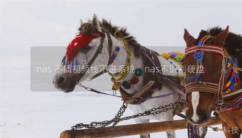 nas 不插視頻線不進(jìn)系統(tǒng)，nas不識(shí)別硬盤(pán)