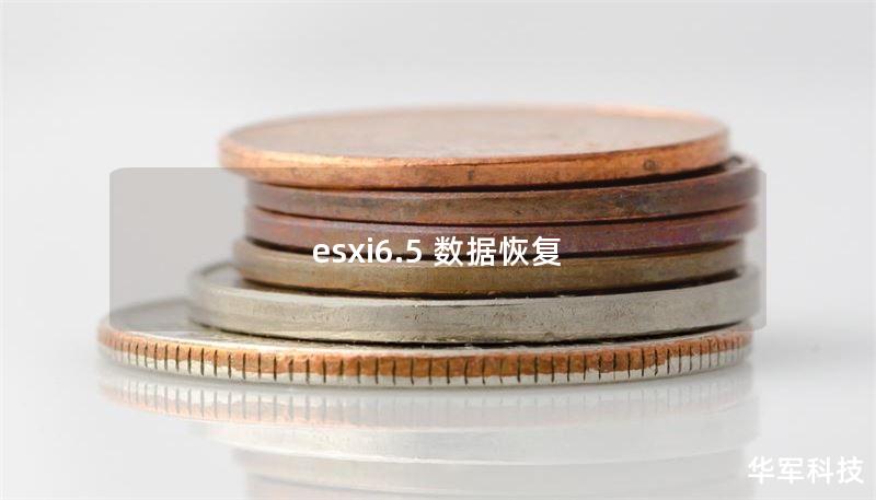 esxi6.5 數(shù)據(jù)恢復(fù)