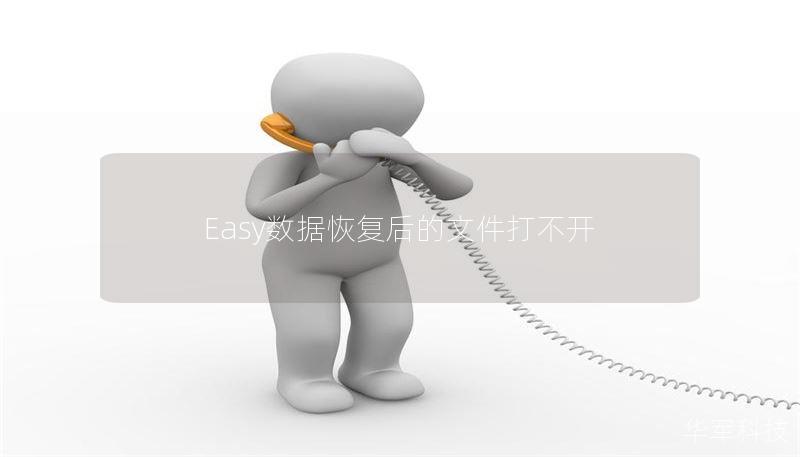 Easy數據恢復后的文件打不開