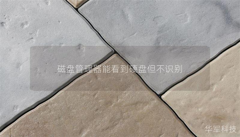 磁盤管理器能看到硬盤但不識別