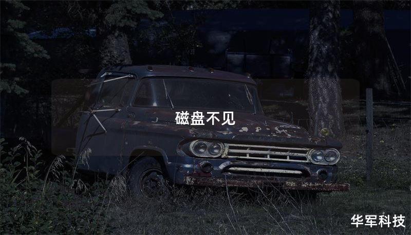 磁盤不見