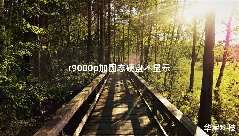 r9000p加固態(tài)硬盤不顯示