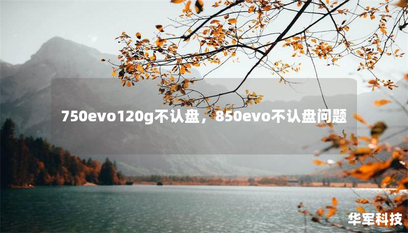 750evo120g不認(rèn)盤，850evo不認(rèn)盤問(wèn)題