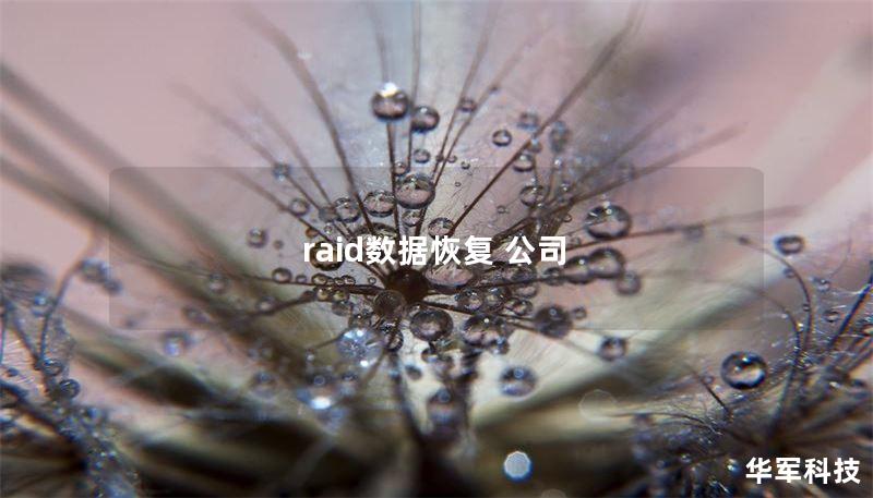 raid數(shù)據(jù)恢復(fù) 公司