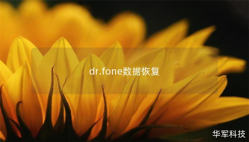 dr.fone數(shù)據(jù)恢復(fù)