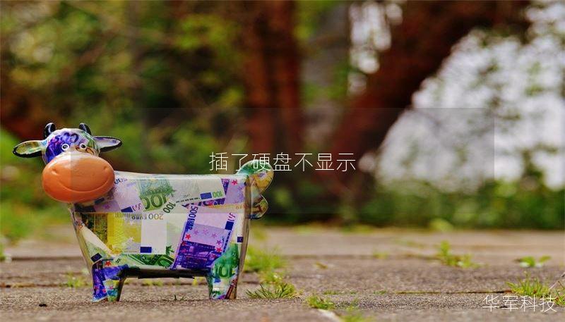 插了硬盤不顯示