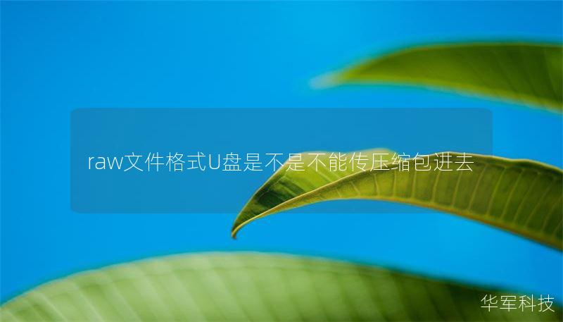 raw文件格式U盤是不是不能傳壓縮包進去