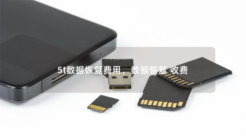 5t數(shù)據(jù)恢復(fù)費(fèi)用，數(shù)據(jù)恢復(fù) 收費(fèi)