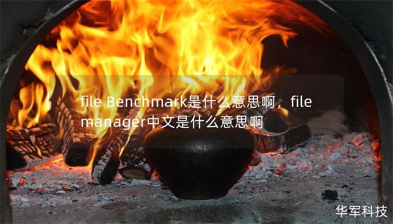 file Benchmark是什么意思啊，file manager中文是什么意思啊