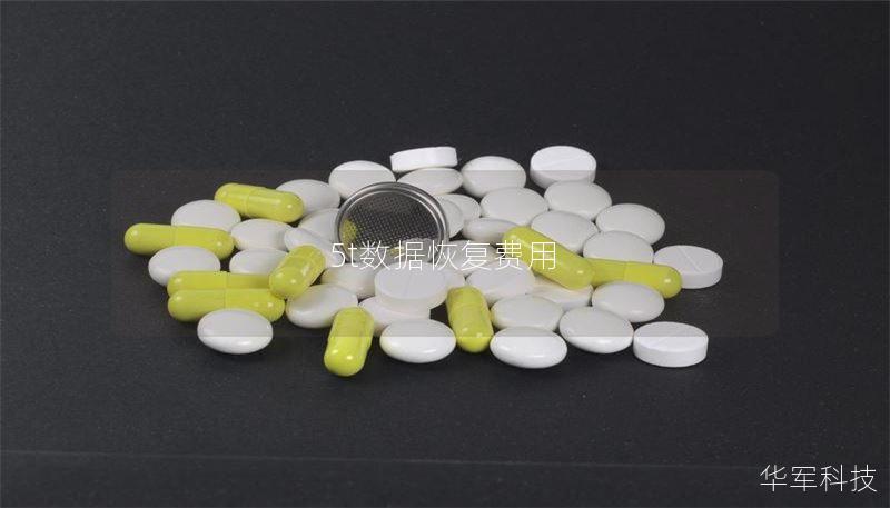 5t數(shù)據(jù)恢復(fù)費(fèi)用
