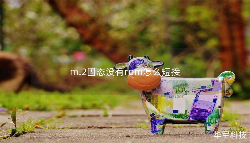 m.2固態(tài)沒有rom怎么短接