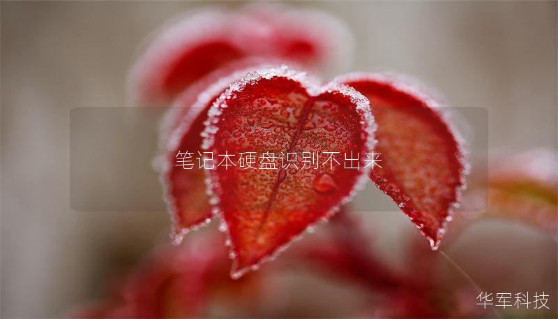 筆記本硬盤識(shí)別不出來