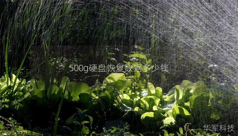 500g硬盤恢復(fù)數(shù)據(jù)多少錢