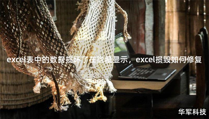 excel表中的數(shù)據(jù)損壞了在隱藏顯示，excel損毀如何修復