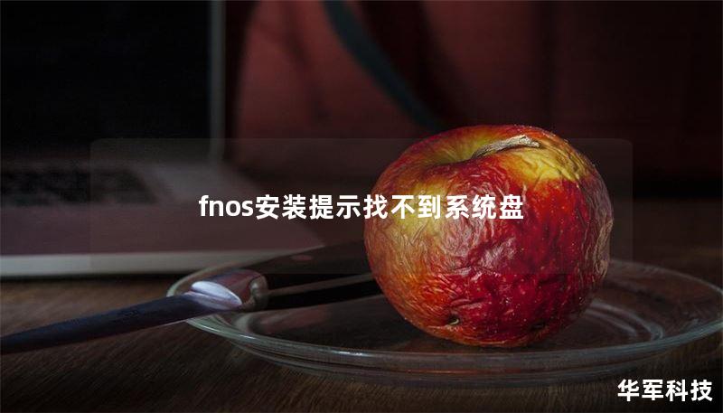fnos安裝提示找不到系統(tǒng)盤
