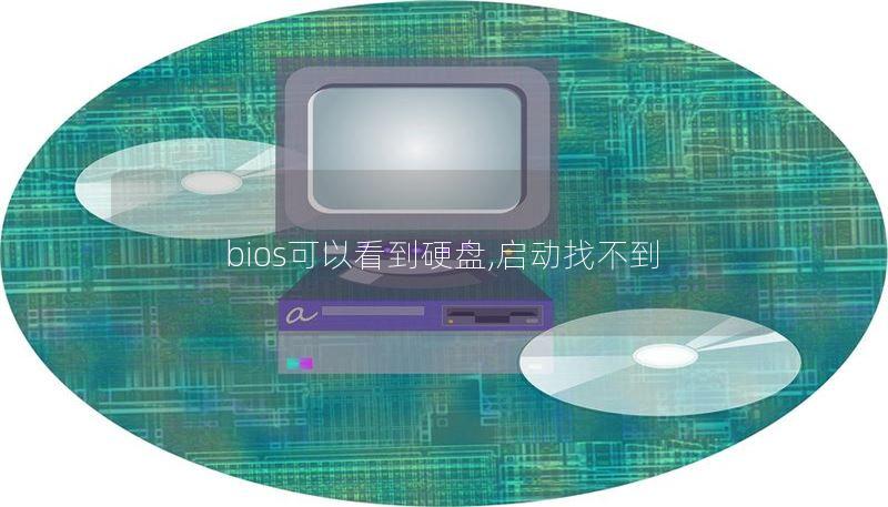 bios可以看到硬盤,啟動找不到