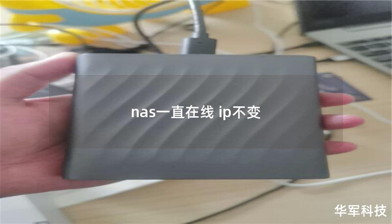 nas一直在線 ip不變
