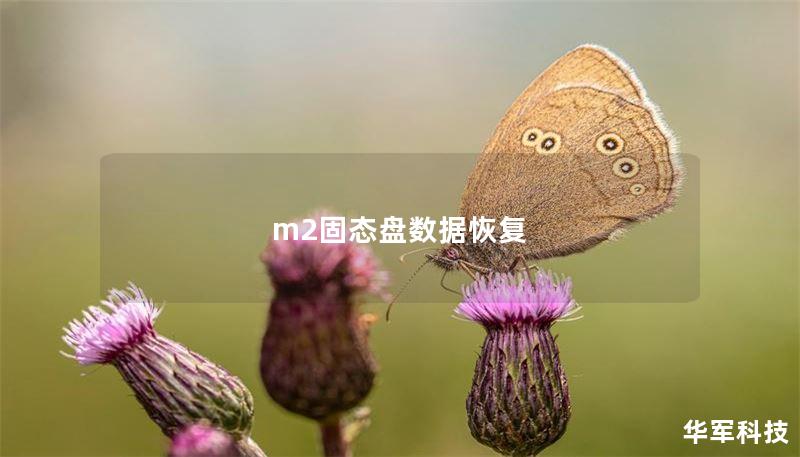 m2固態(tài)盤(pán)數(shù)據(jù)恢復(fù)
