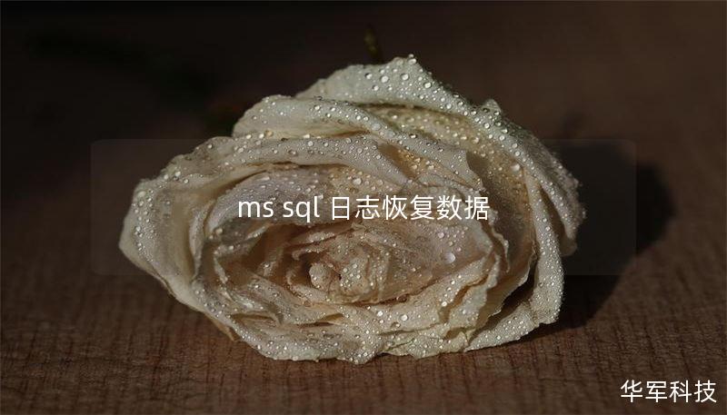 ms sql 日志恢復(fù)數(shù)據(jù)
