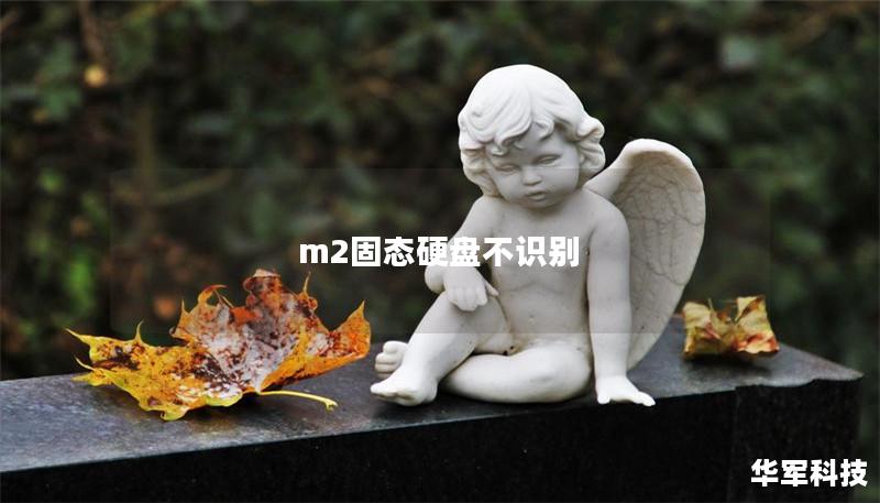 m2固態(tài)硬盤不識別