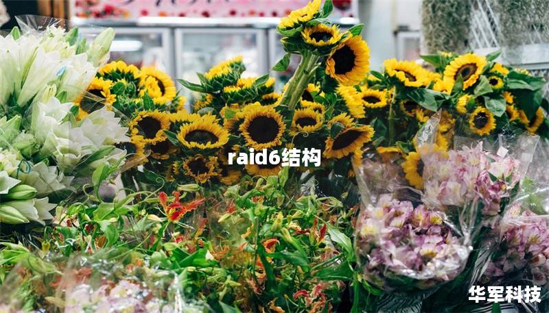 raid6結(jié)構(gòu)