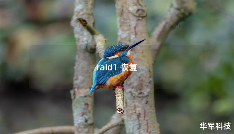 raid1 恢復(fù)