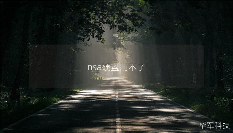 nsa硬盤用不了